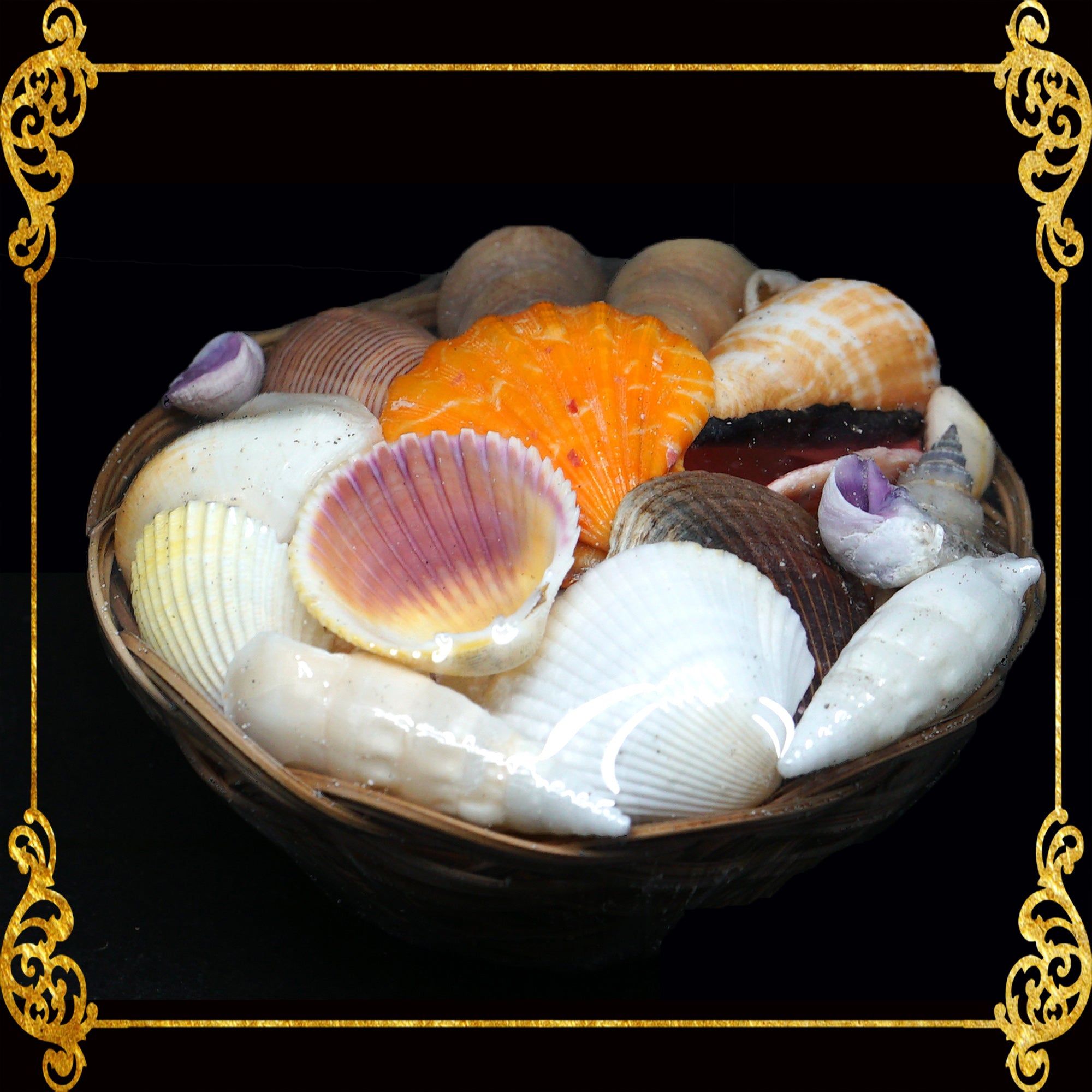Mixed Sea Shell in a Native Basket  4 Inches – Seashell Supplies