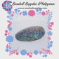 Abalone Paua | Blackfoot Paua | Rainbow Abalone | 4 Inches