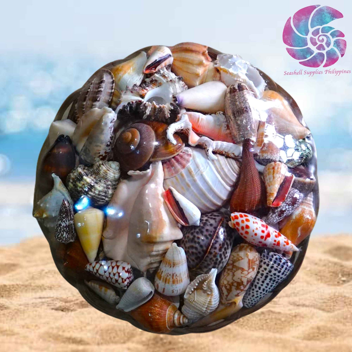 Mixed Sea Shell in a Native Basket | 12 Inches