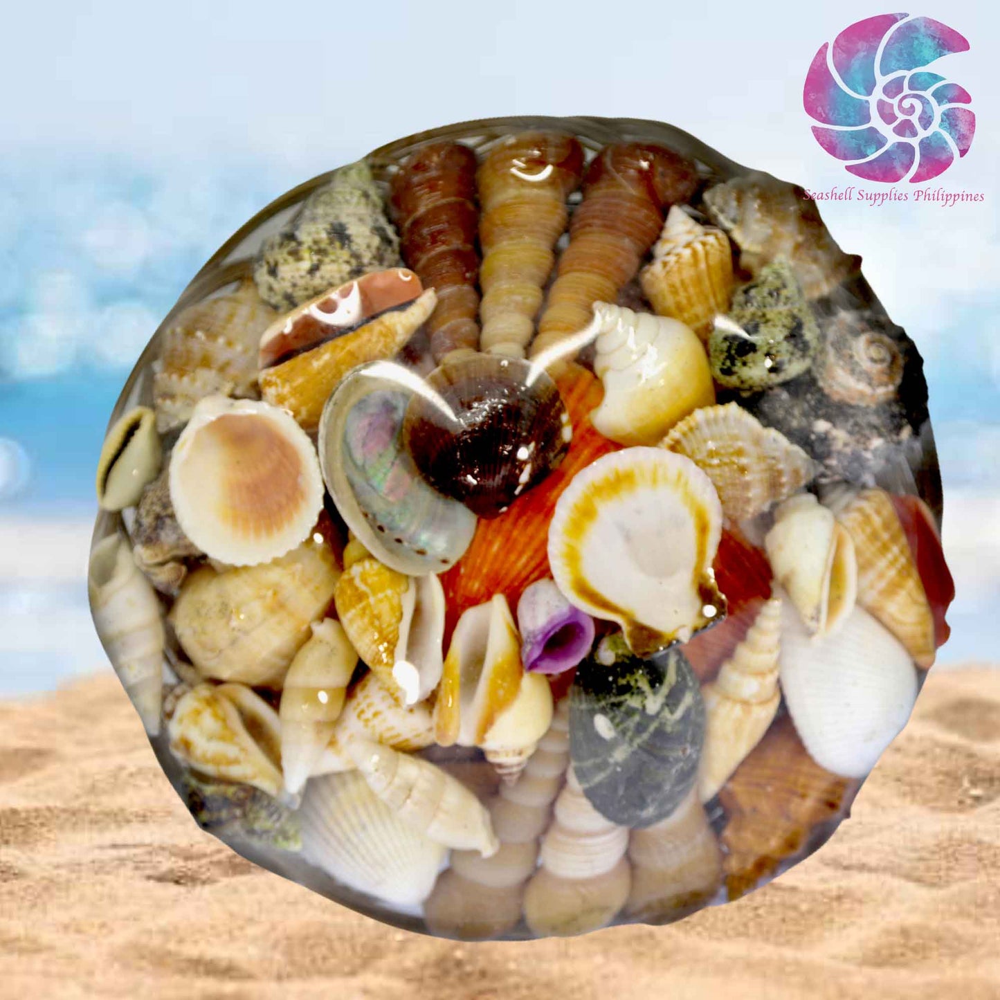 Mixed Sea Shell in a Native Basket  12 Inches – Seashell Supplies